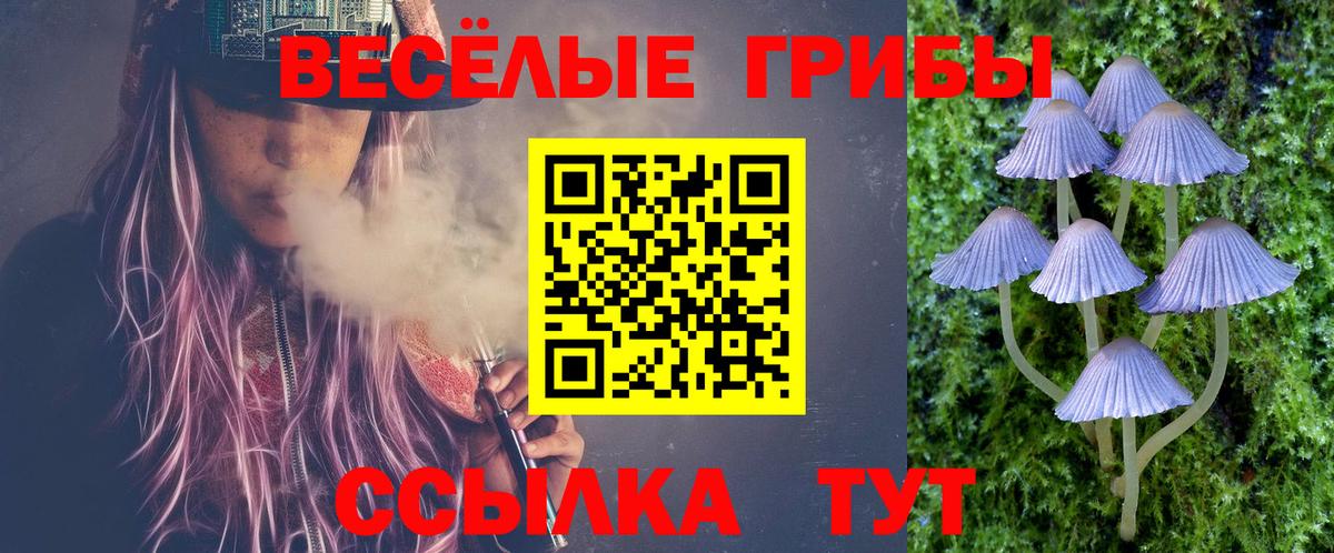 Псилоцибиновые грибы Psilocybe  Галлюциногенные грибы MAGIC MUSHROOMS  Озёры  Вход с VPN 